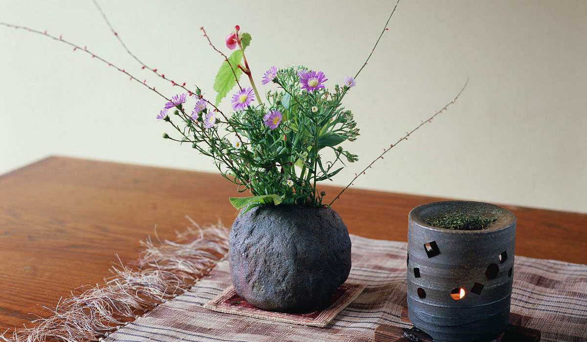 花卉组培脱毒优质无菌种苗