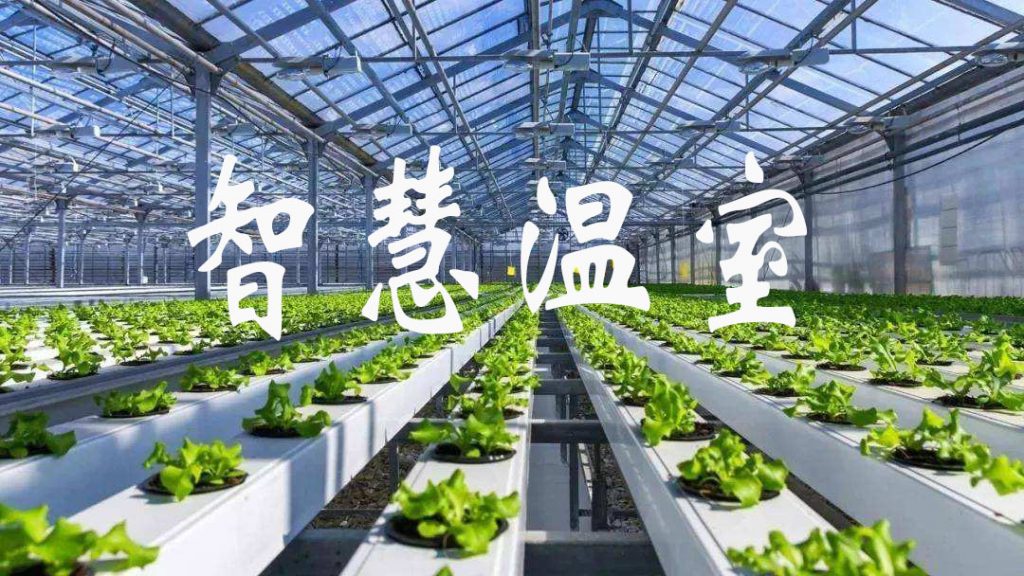 “搬”来一个服装小镇壮大一个产业集群(图1)